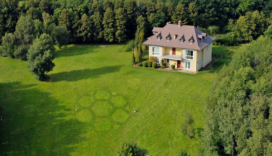 Forvandl din græsplæne til et kunstværk - Skab unikke mønstre direkte i appen